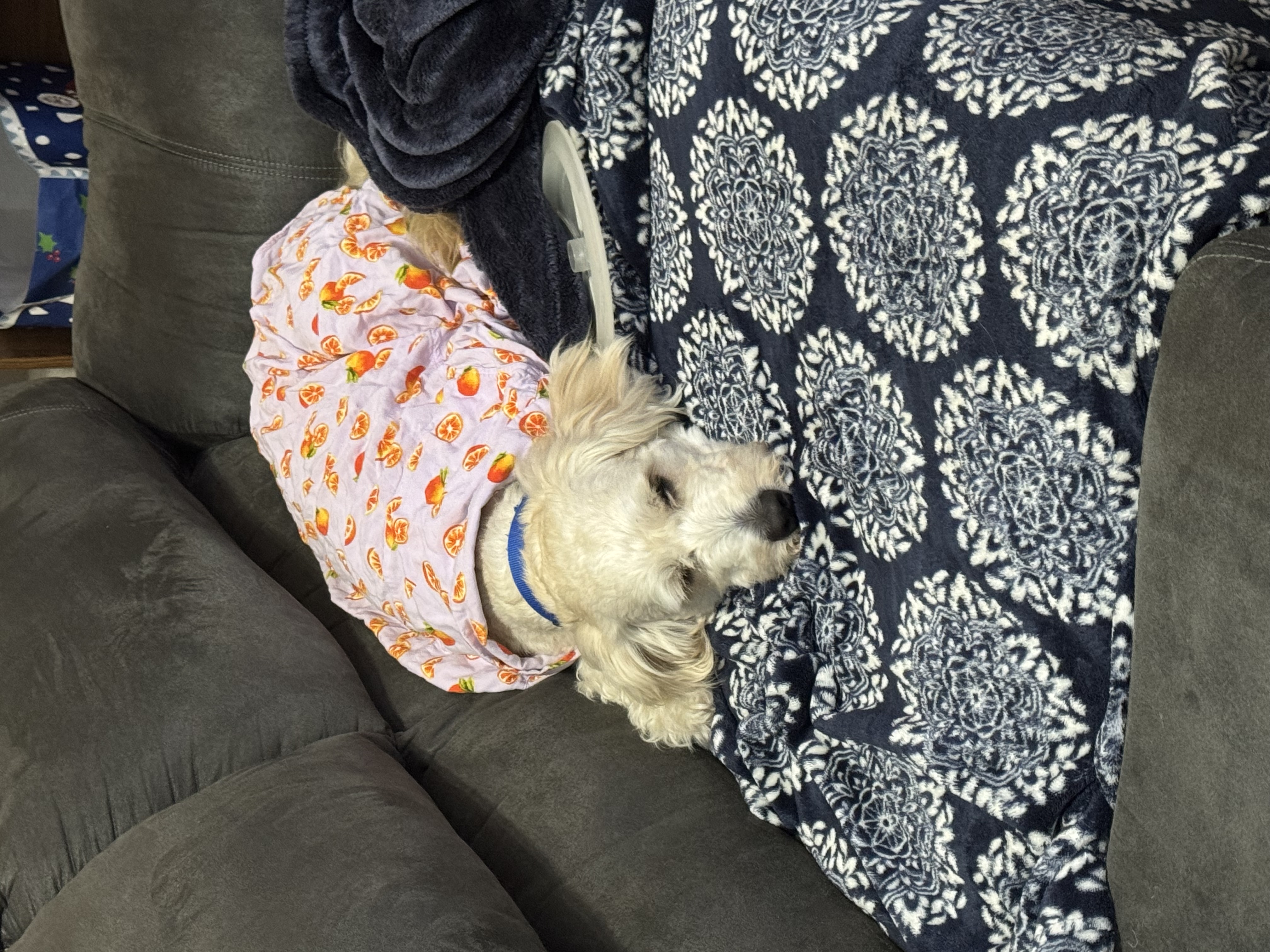 Nimbus travel and accommodations details