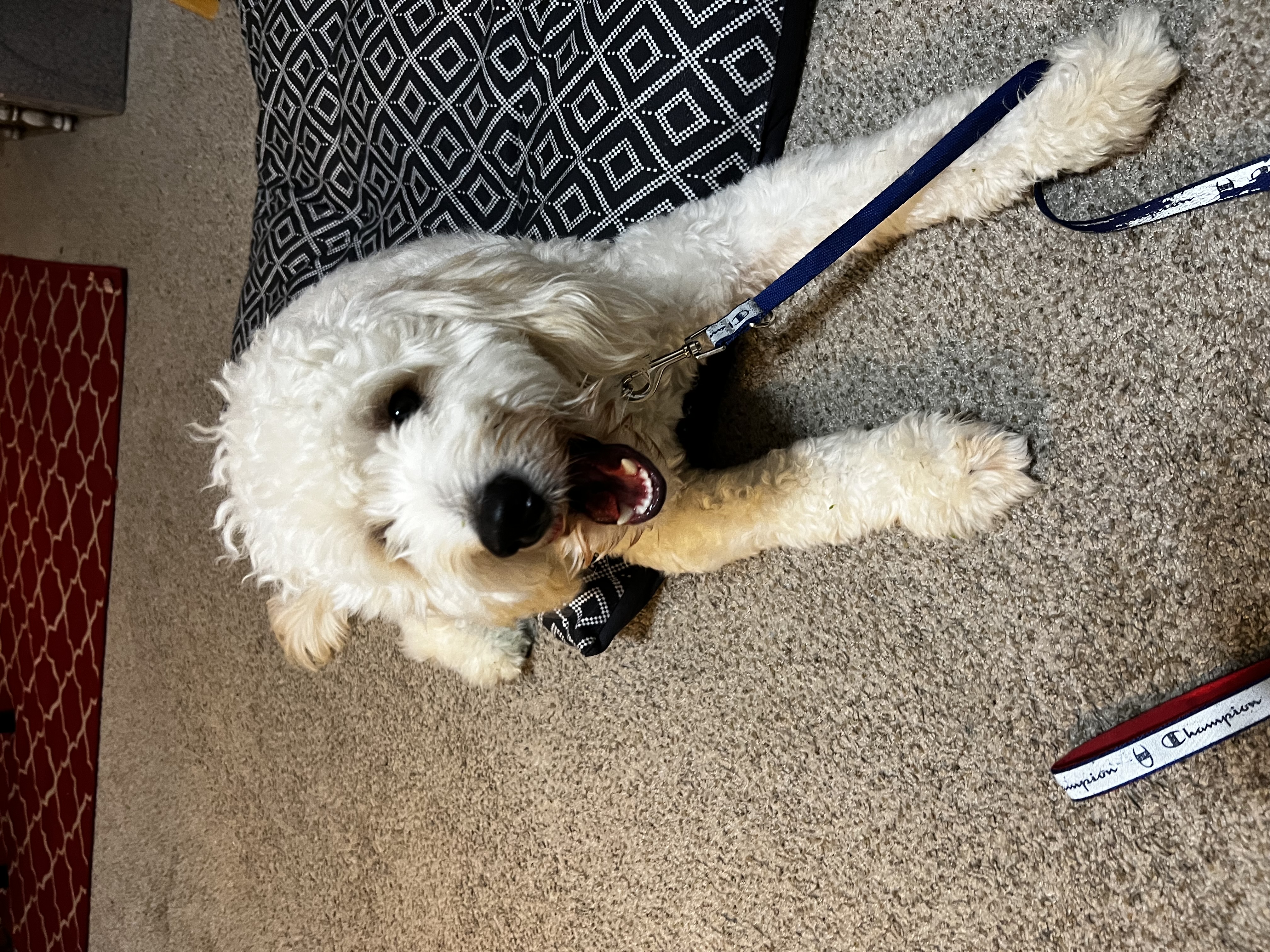 Nimbus service profile one