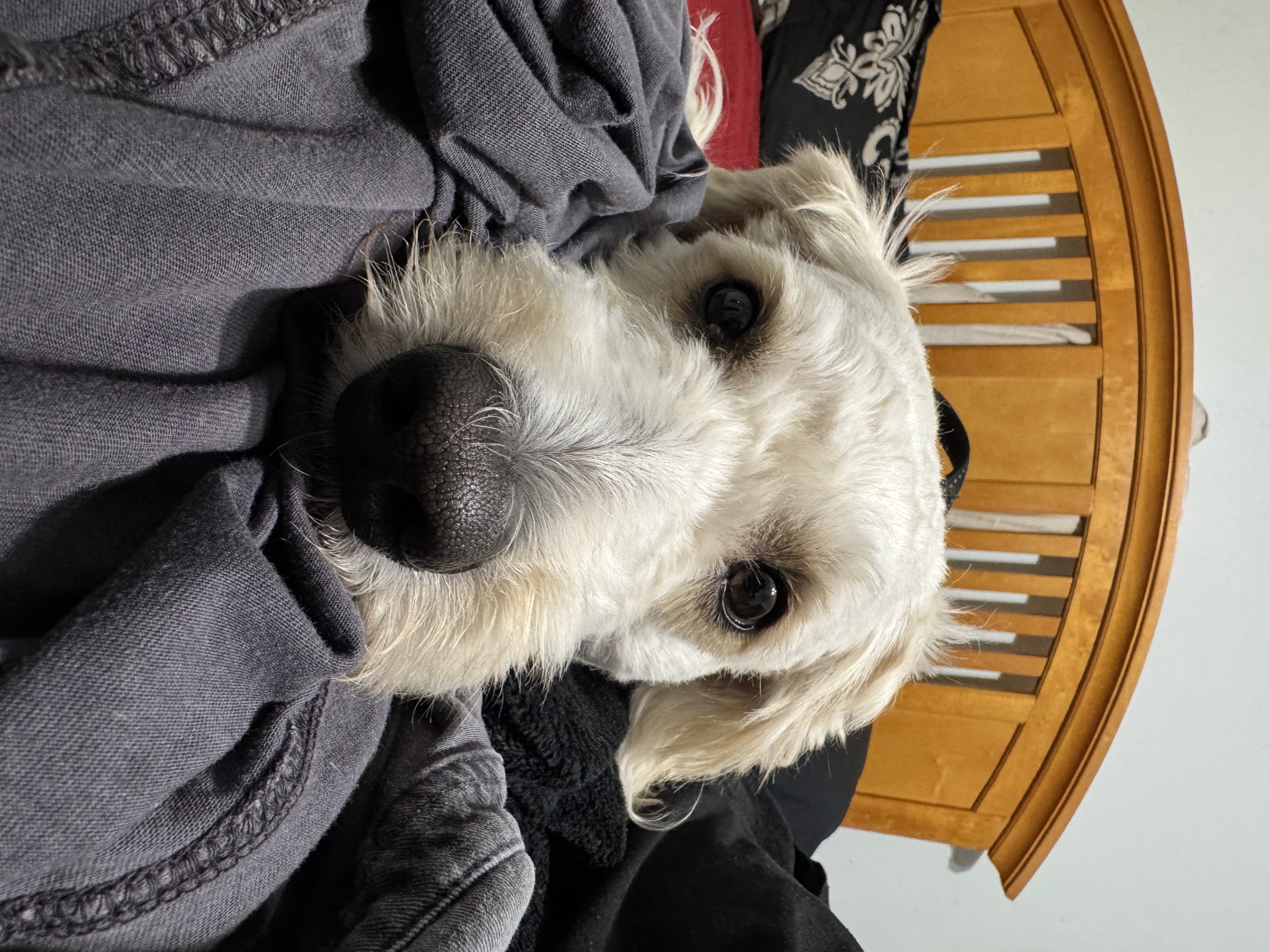 Nimbus service profile two