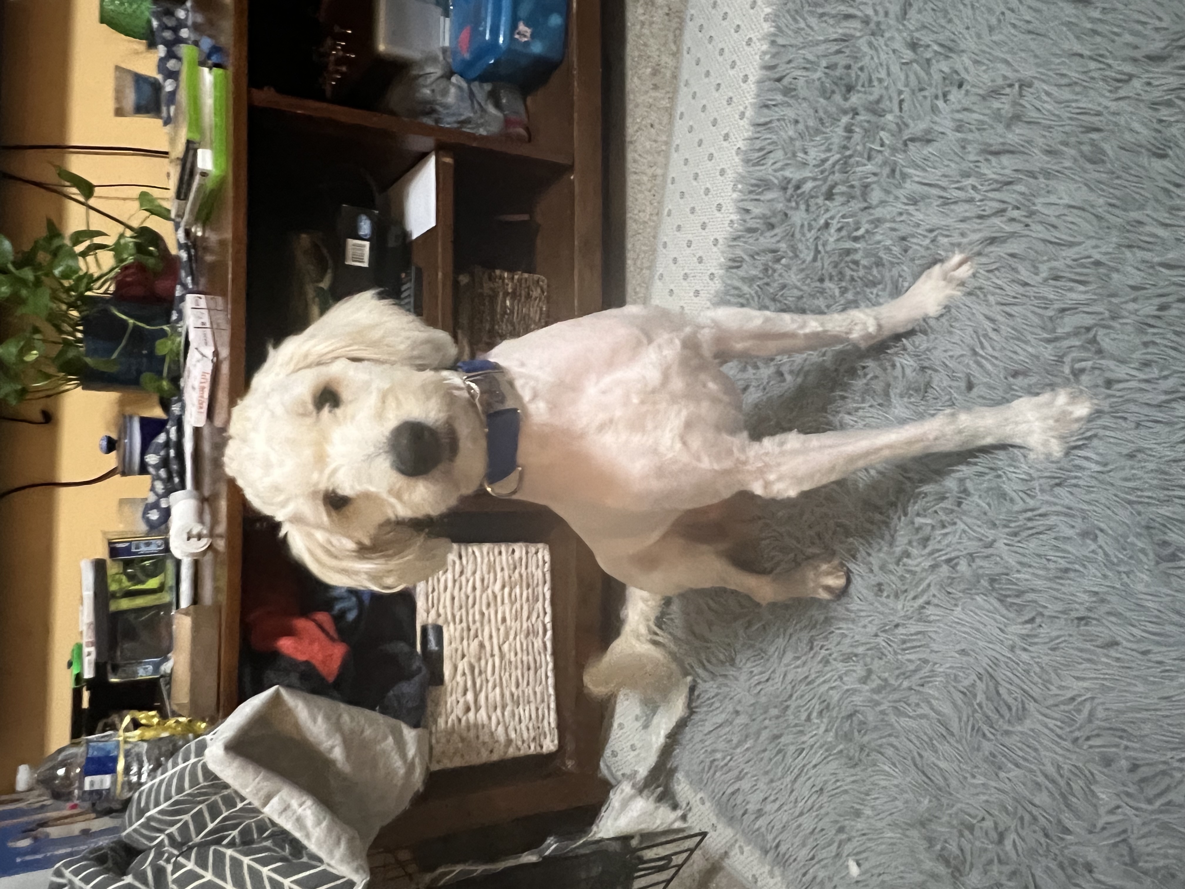 Nimbus candid portrait