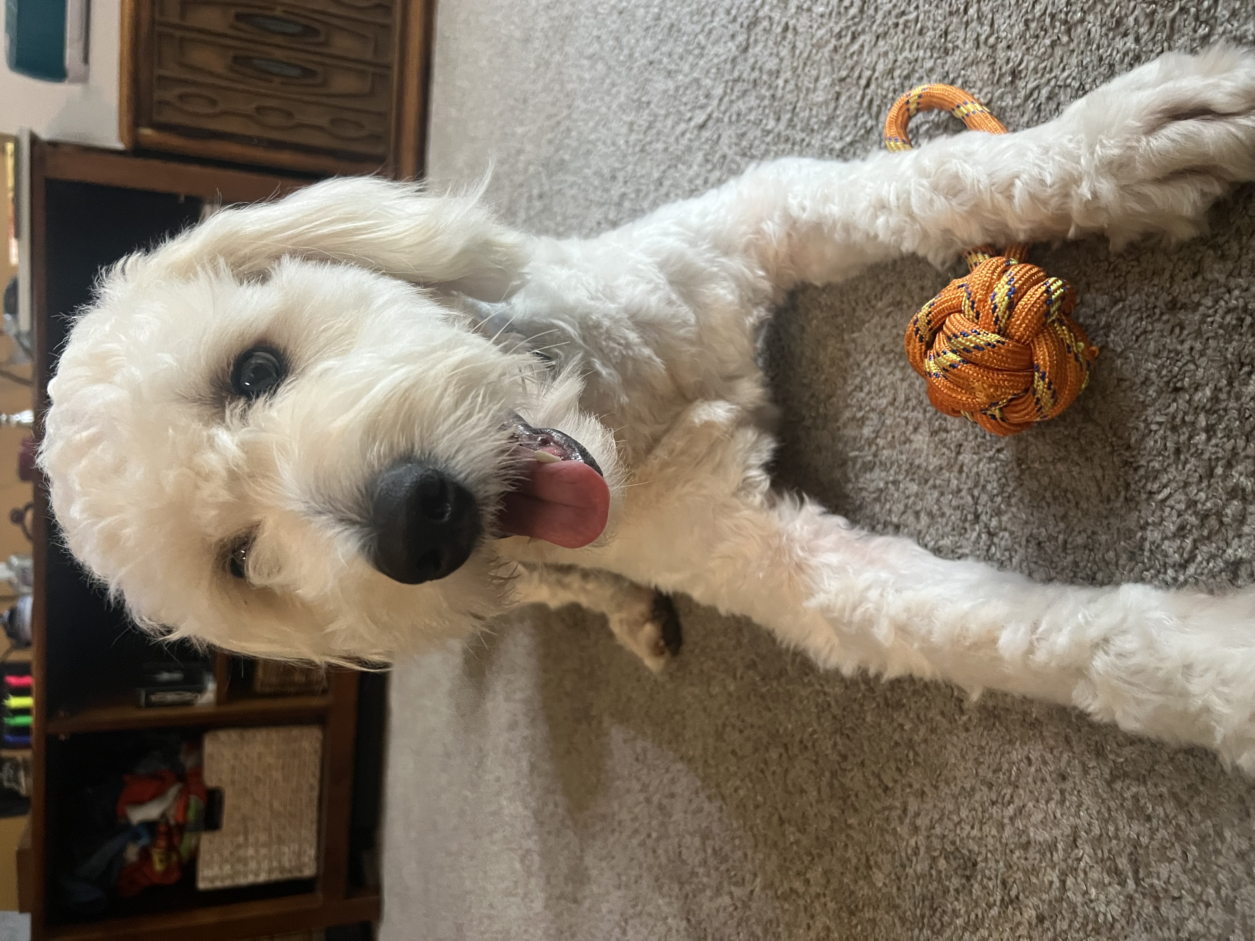 Nimbus portrait three