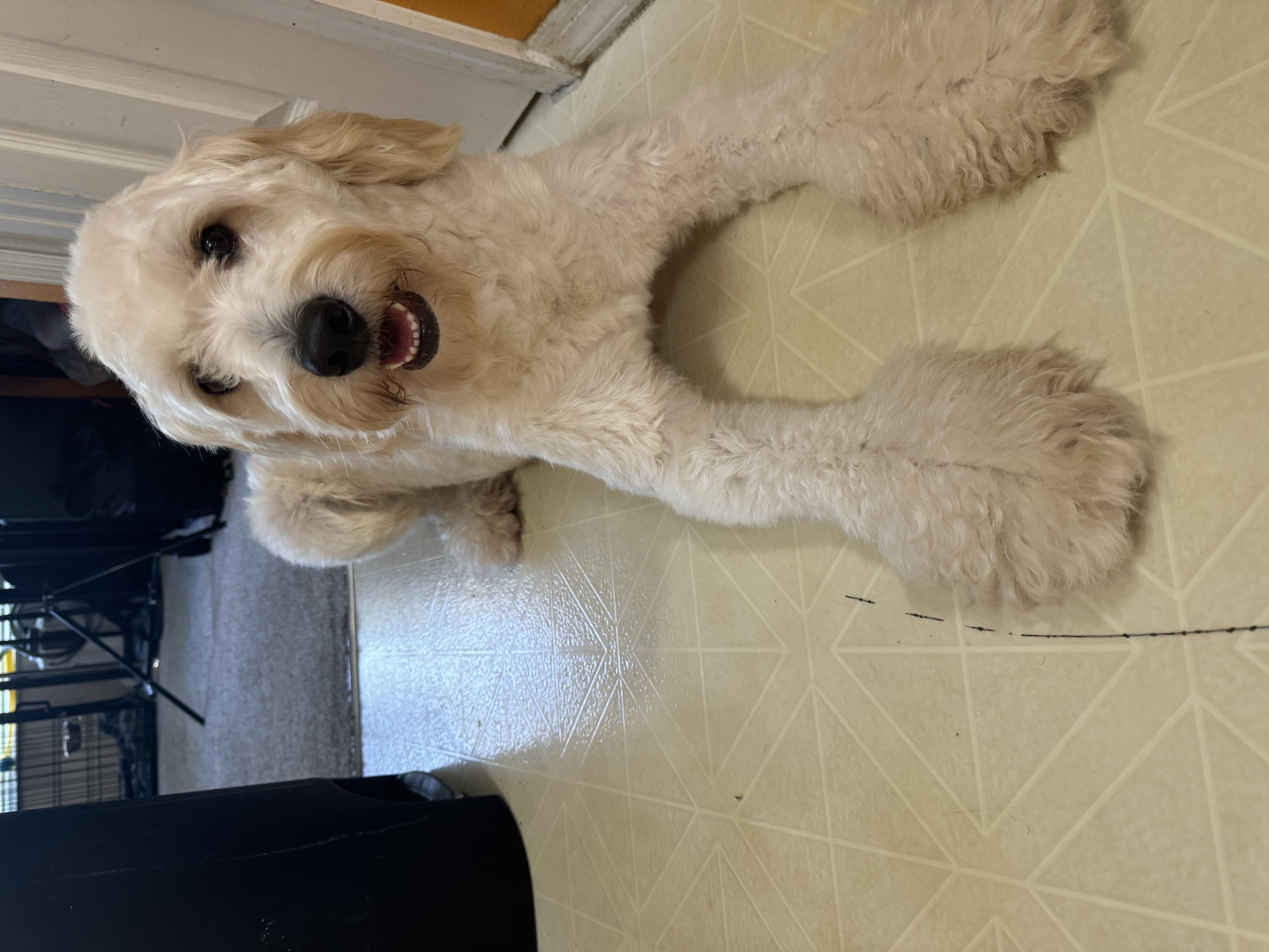 Nimbus service profile three