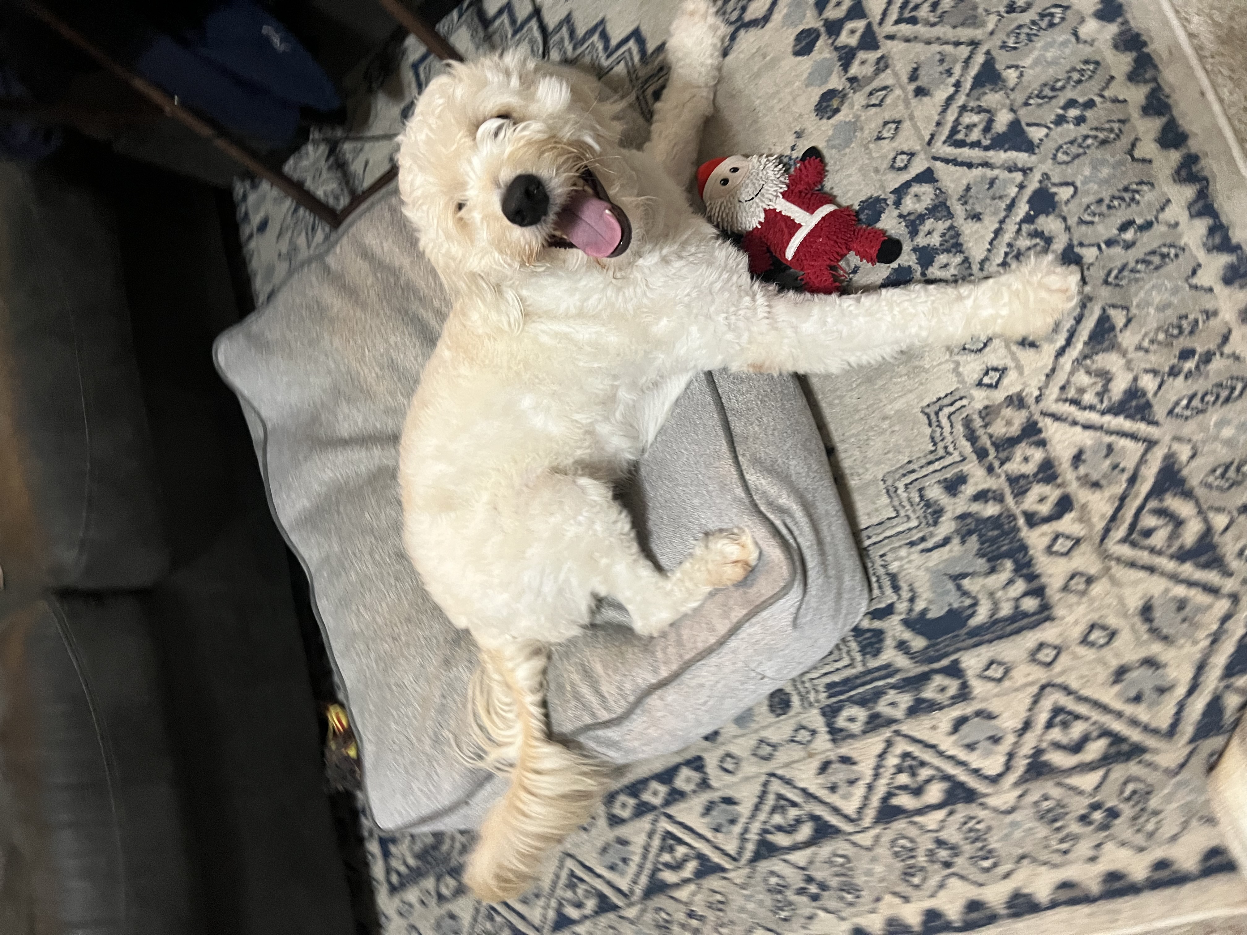 Nimbus structural profile