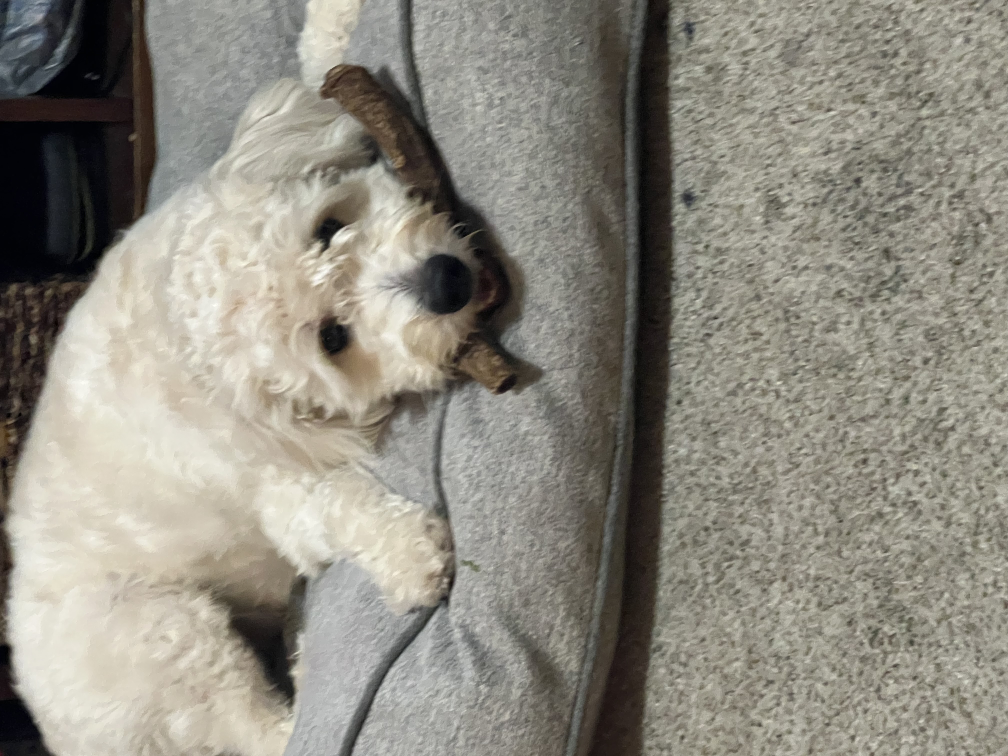 Nimbus composed stance