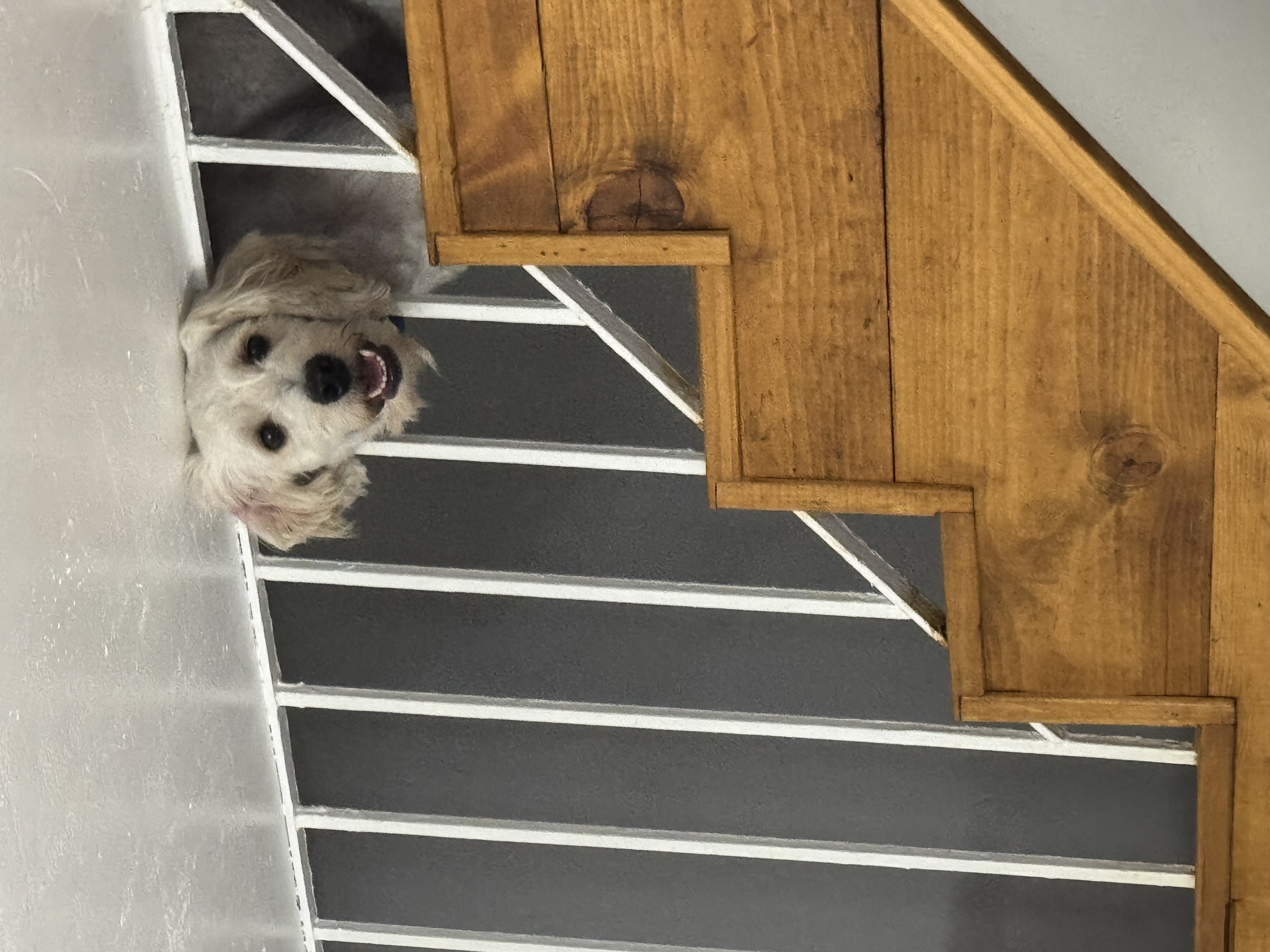 Nimbus travel-ready for nationwide service