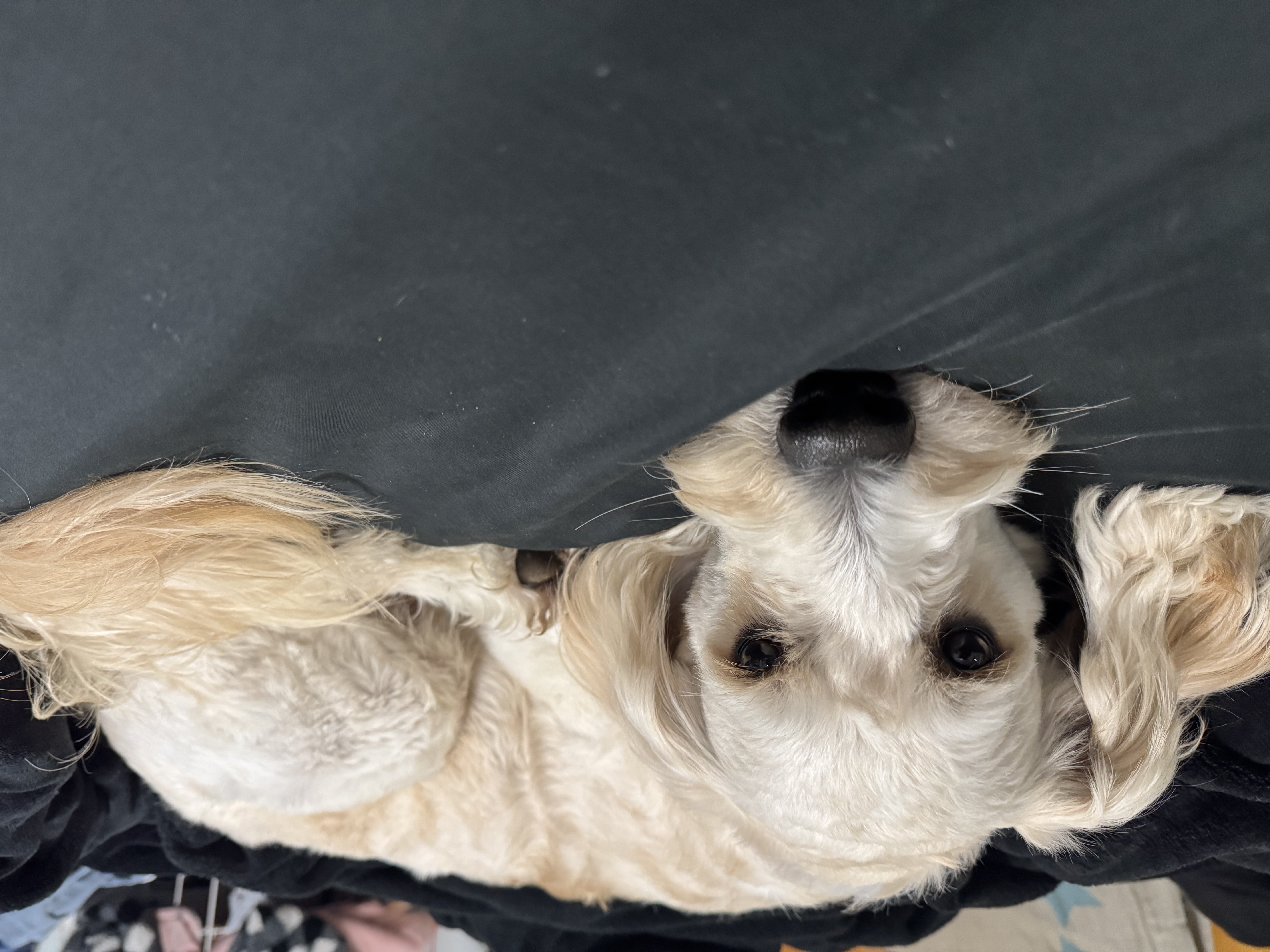 Nimbus outdoor portrait